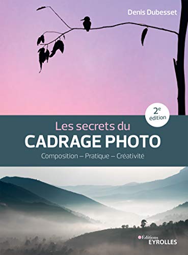 Denis Dubesset les secrets du cadrage photo