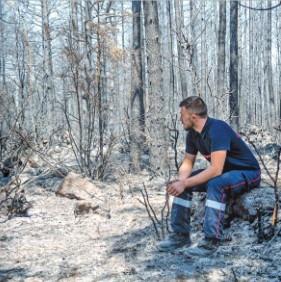 N286 l homme et son environnement